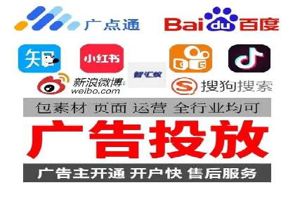 SEM服务案例：打造行业领先品牌